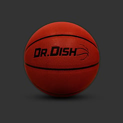 drdishbasketball-1ball_sm